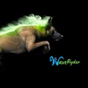 @waveryder_k9