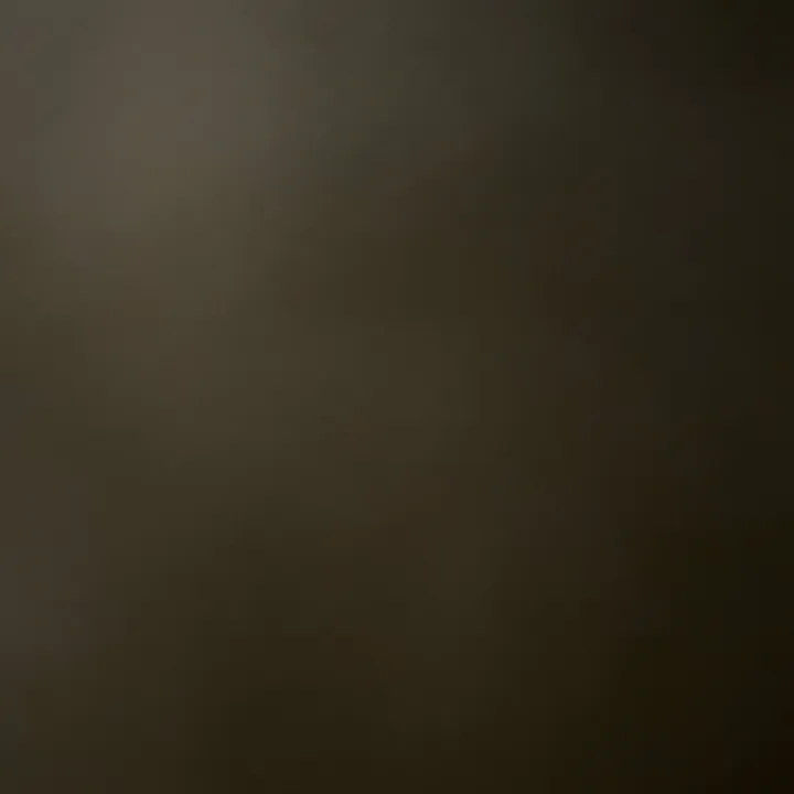 @lilooil
