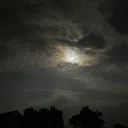@thv.173