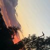tilly_yours