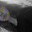@nounelle