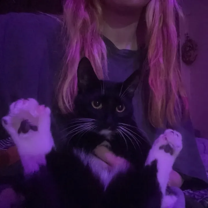 milli_sontana