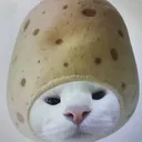 @fehjkdf