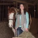 @yourhorseandponyleader