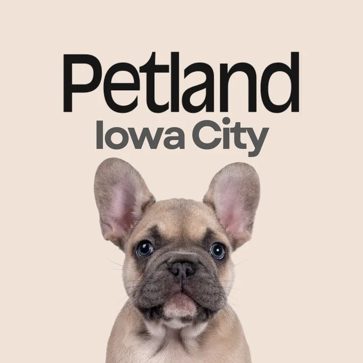 petland.iowa.city