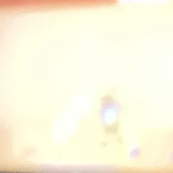 @shawtvnmfhy