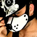 @pup_koba