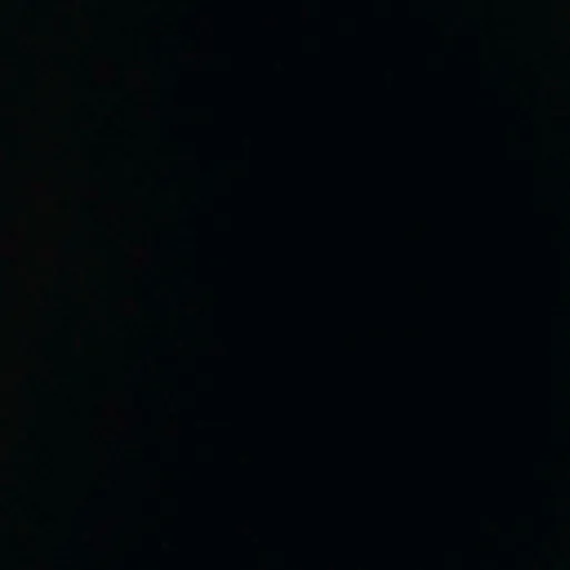 lfreppl88