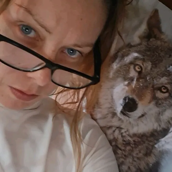 @wolfgirl241