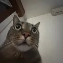 @andrew.spam_