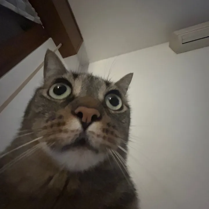 @andrew.spam_