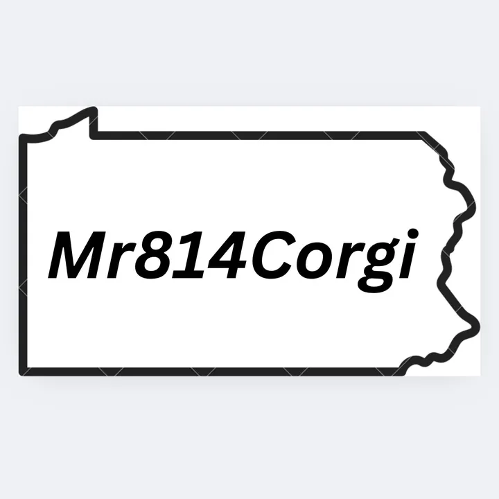 mr814corgi