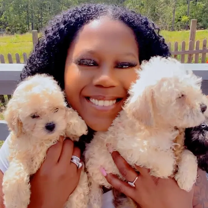 tinytotsqualitykennels1