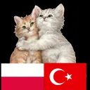 @turkpolbesties