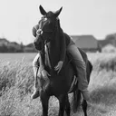 @equestrianteam.ff