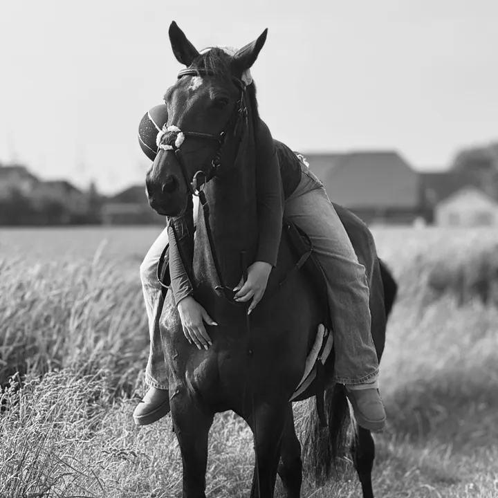 @equestrianteam.ff