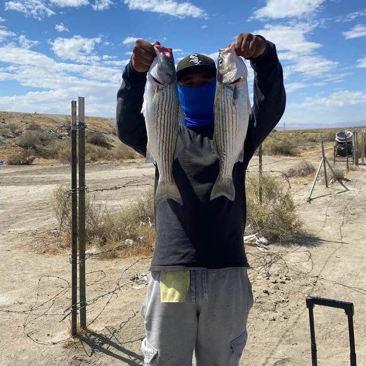 kernfishing661_