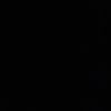 rose_3834