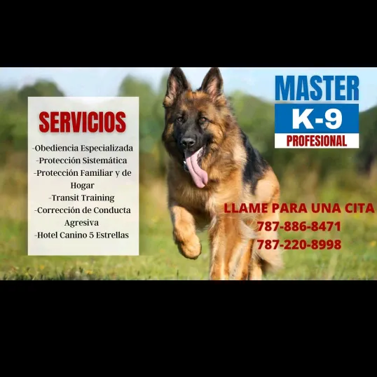 masterk9profesional