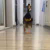 xiaop_us37