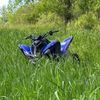 krashkruse71