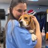 raretherescue