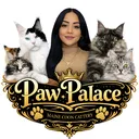 @pawpalacemainecoon