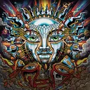 @sublimeofficial