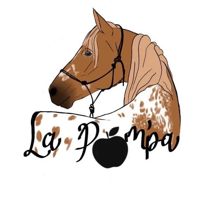 lapompa50