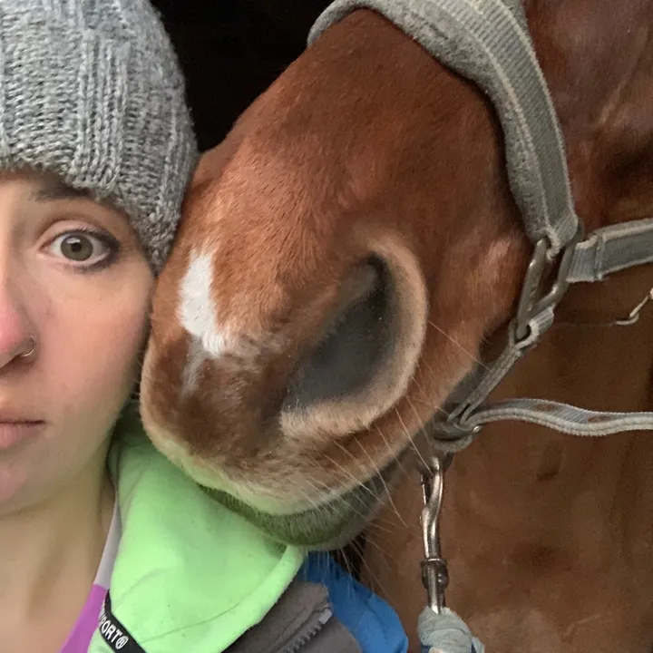 @bunkershillfarmhorses
