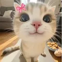 @harmoezwdgm