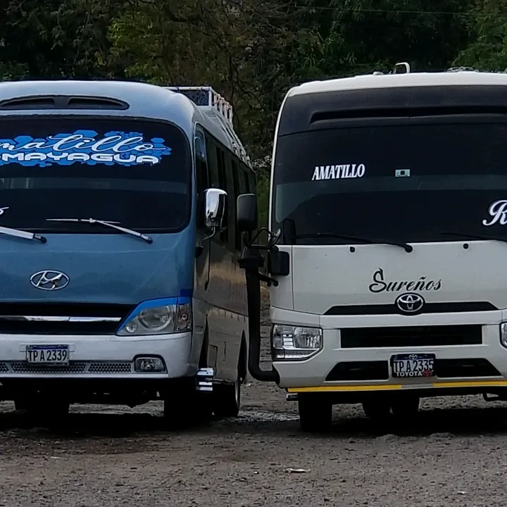 transporteruiz08