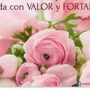 @jennyvargas895