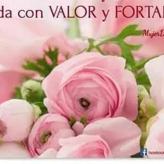 @jennyvargas895