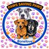 duttonpaws