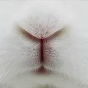 @pizzagrl22