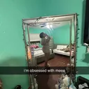 @urbbgzy