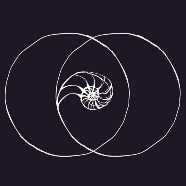 perceptiveperspective