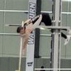 pahls_vaulting