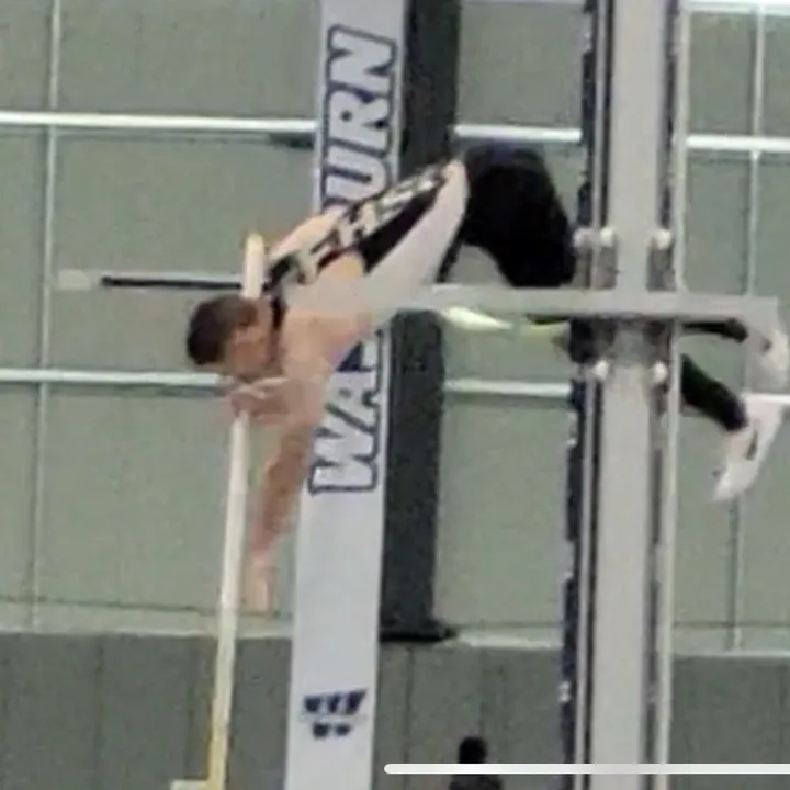 pahls_vaulting