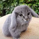 @yellowglittergelpen