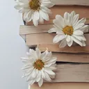 @hyacinth_books