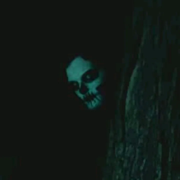 @countscapula