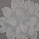 @samjanaacharya1