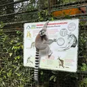 @secretmenu2