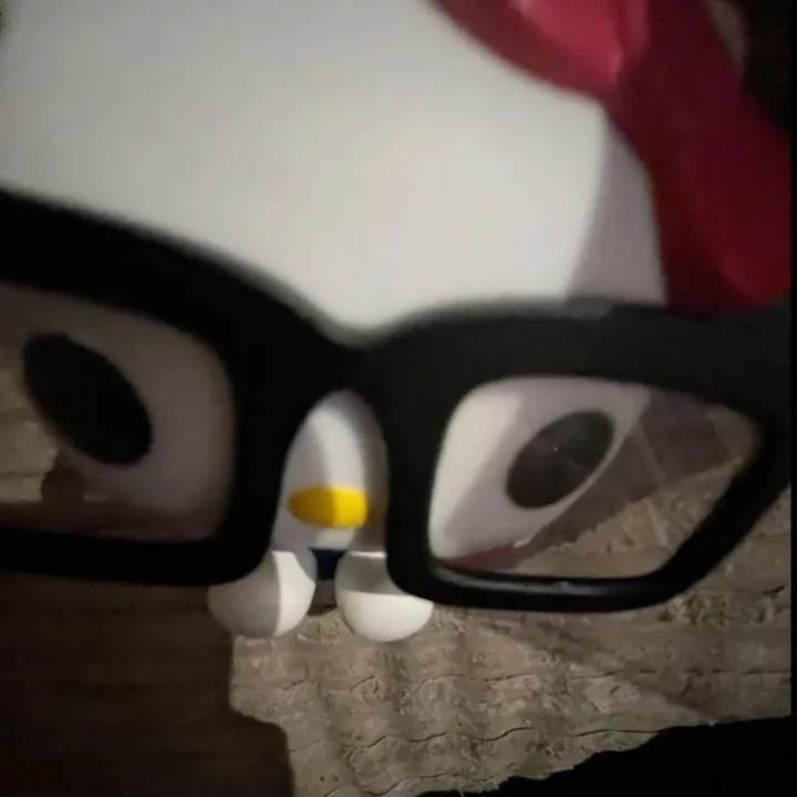 lilly_pp2