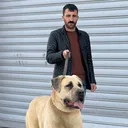 @herkesbirgun68