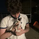@krabbeljongen