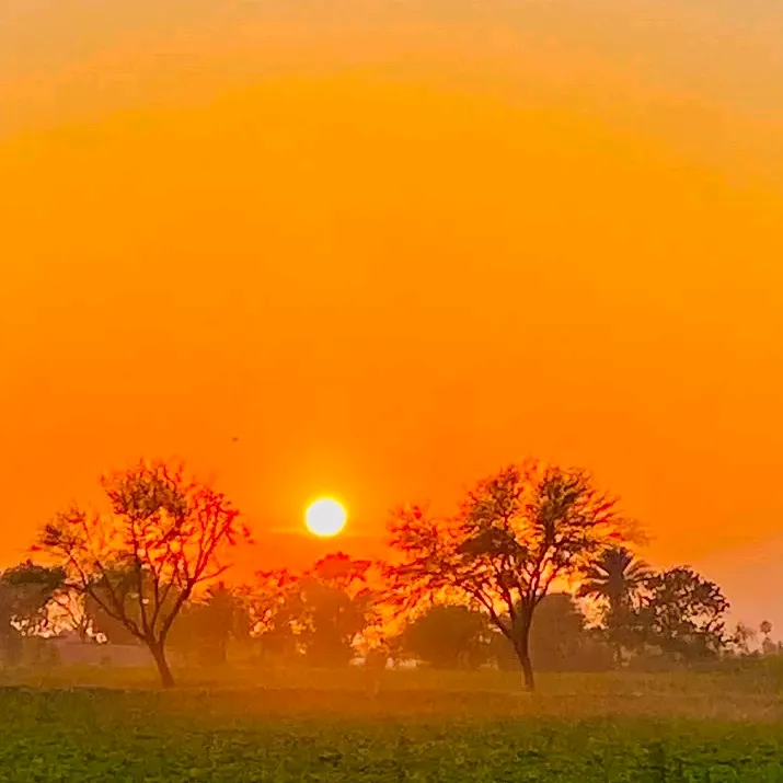 saller114