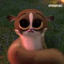 @sereconlarmoscia